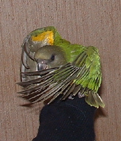 a l'atterissage10000.JPG