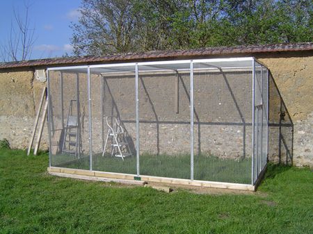 voliere perruche a collier rÃ©duite.jpg