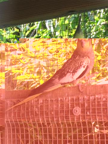 IMG_0099 (Medium) (Small).JPG