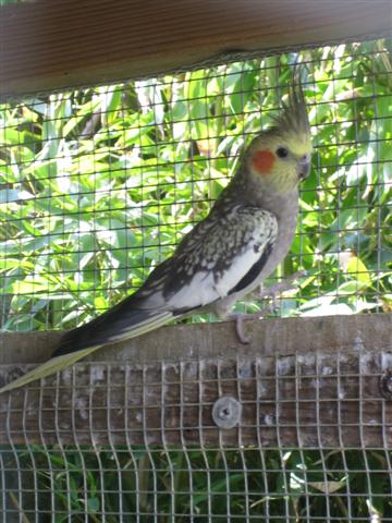 IMG_0100 (Small).JPG