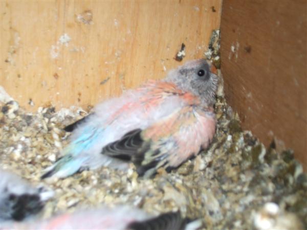 DSCF1639 (Custom).jpg