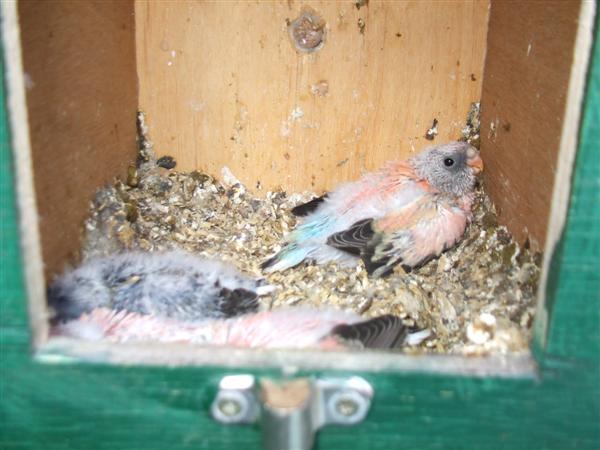 DSCF1640 (Custom).jpg