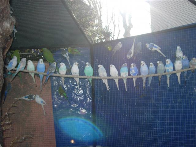 DSCN2468 (Small).JPG