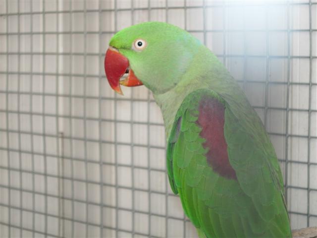 DSCN2493 (Small).JPG