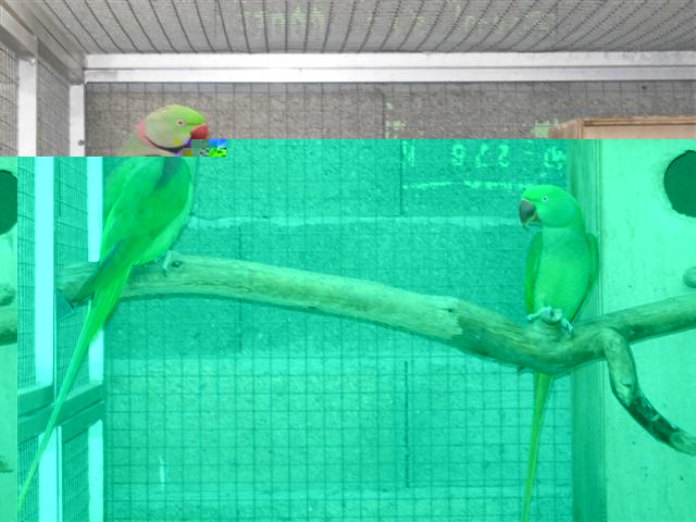 DSCN2473 (Small).JPG