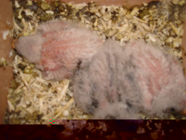 DSC00214 [640x480].JPG