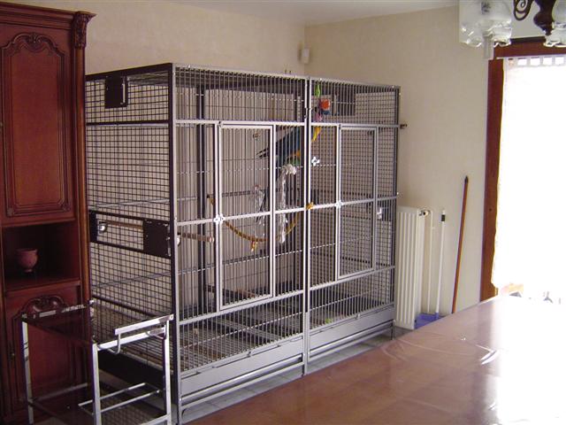 DSC05589 (Small).JPG