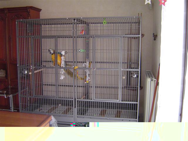 DSC05591 (Small).JPG