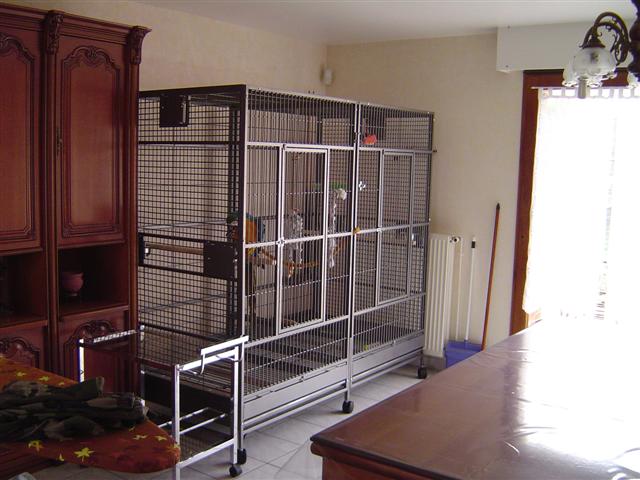 DSC05592 (Small).JPG