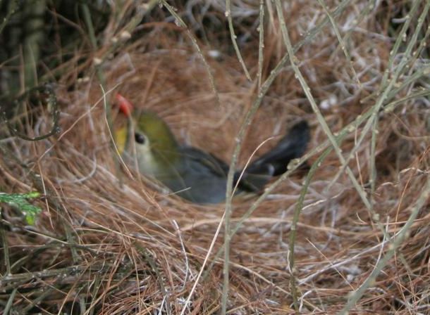 Correction Correction IMG_0067 (Small).JPG