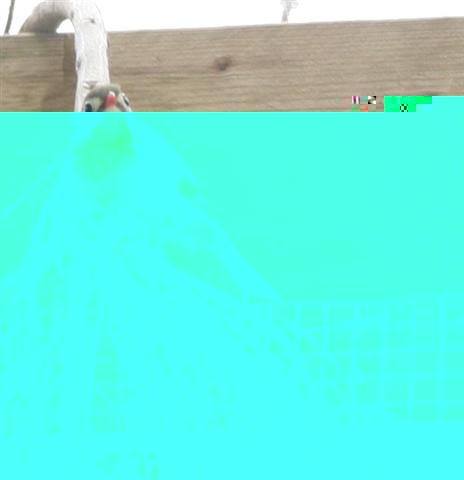 Correction IMG_0069 (Small).JPG