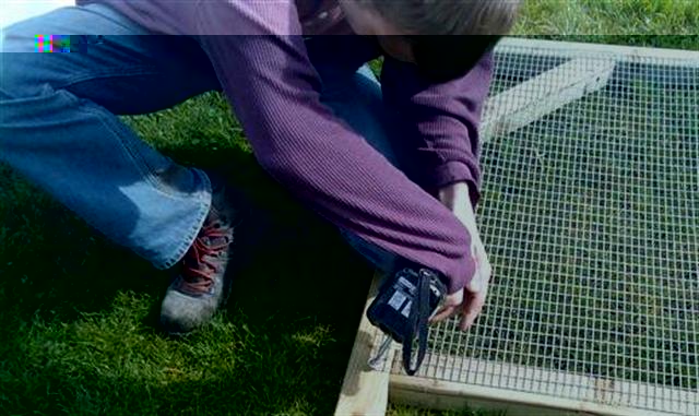 Photo006 (Small) (Small).jpg