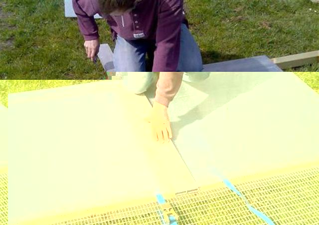 Photo008 (Small) (Small).jpg