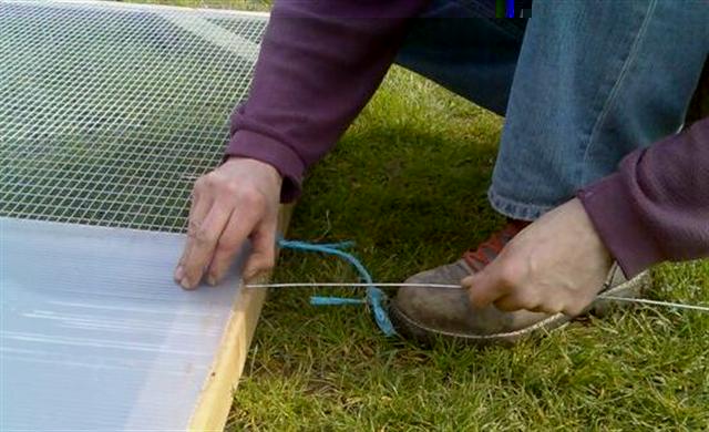 Photo009 (Small) (Small).jpg