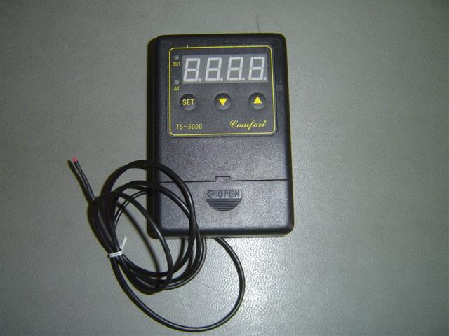 DSC05606 (Small).JPG