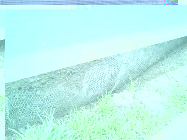 Photo056 (Small) (Small).jpg