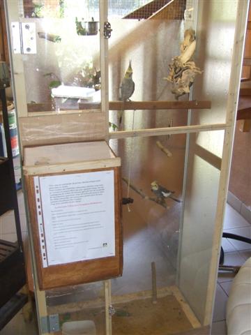 DSCF8428 (Small).JPG