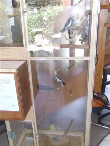 DSCF8424 (Small).JPG