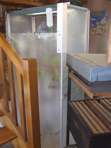 DSCF8422 (Small).JPG