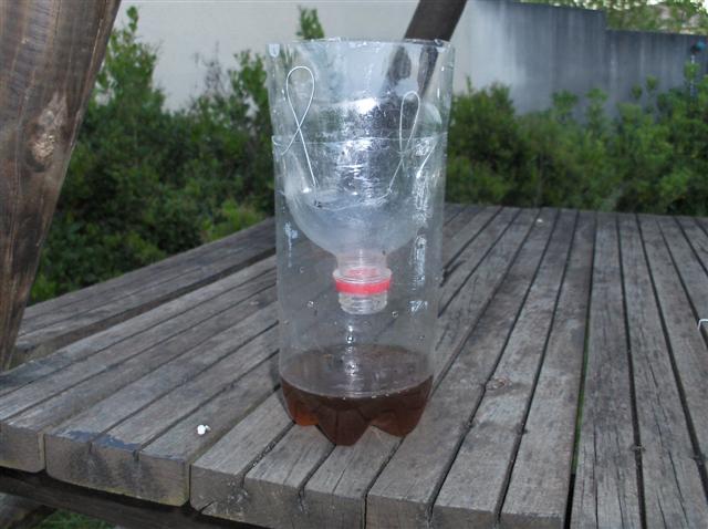 HPIM1967 (Small).JPG