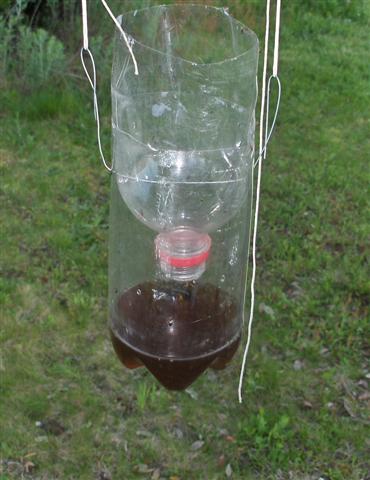 HPIM1965rec (Small).jpg