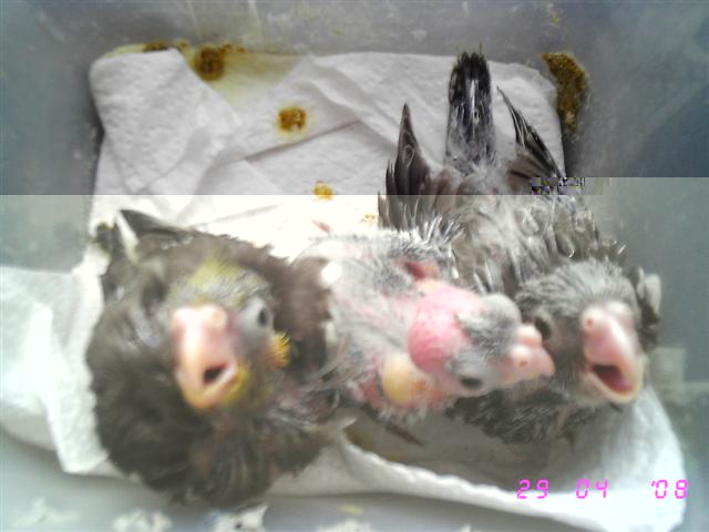 IMG_3612 (Small).JPG