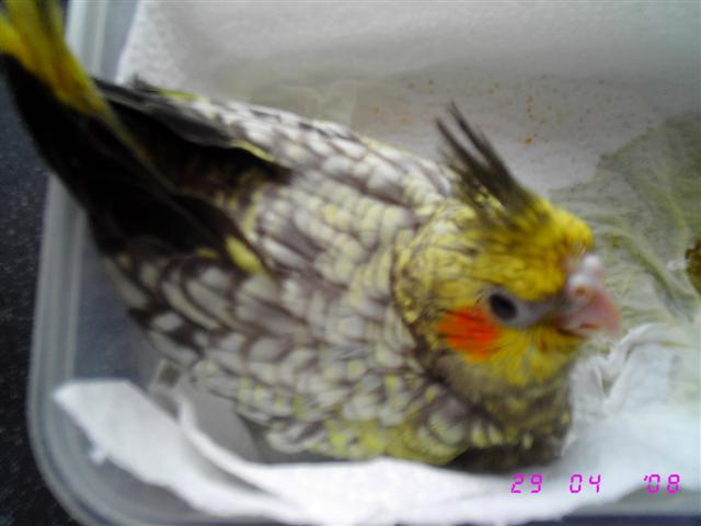 IMG_3614 (Small).JPG