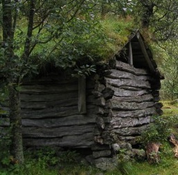 cabane.jpg
