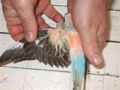 DSCF2043 (Custom).jpg