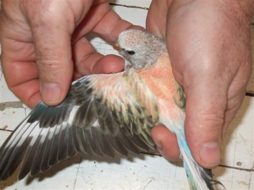 DSCF2041 (Custom).jpg