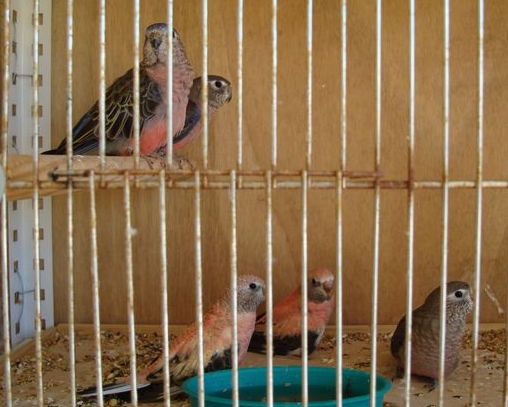 DSC00252 [640x480].JPG