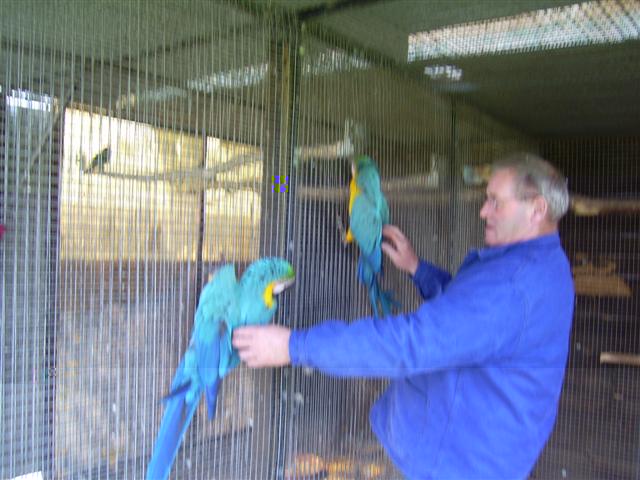 PIC00006 (Small).JPG