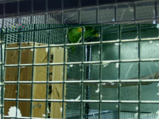 PIC00021 (Small).JPG