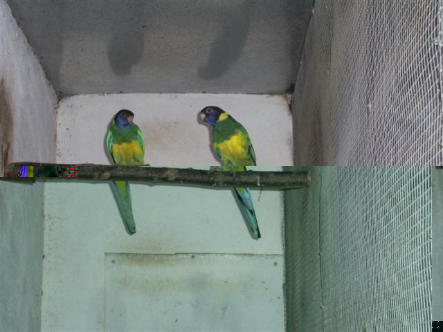 PIC00029 (Small).JPG