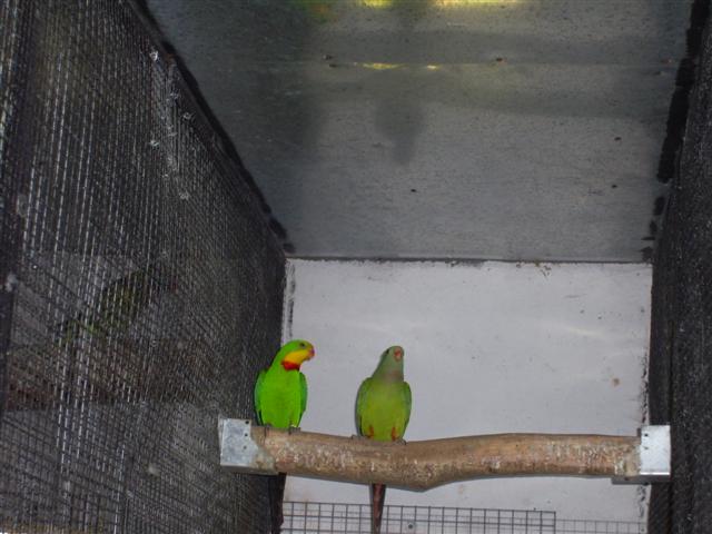 PIC00030 (Small).JPG