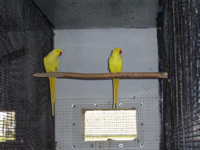 PIC00032 (Small).JPG