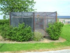 PIC_0007 (Small) (WinCE).JPG