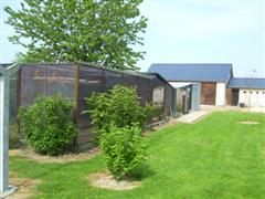 PIC_0008 (WinCE).JPG