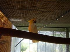 PIC_0009 (Small) (WinCE).JPG