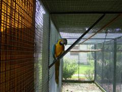 PIC_0010 (WinCE).JPG