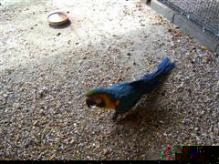 PIC_0011 (WinCE).JPG