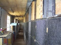 PIC_0001 (WinCE).JPG