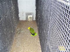 PIC_0002 (WinCE).JPG