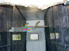 PIC_0003 (WinCE).JPG