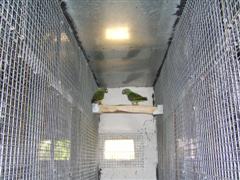 PIC_0004 (WinCE).JPG