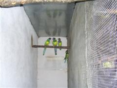 PIC_0005 (WinCE).JPG