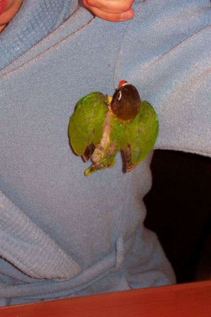 S Resize of 07-03-04-30030.jpg