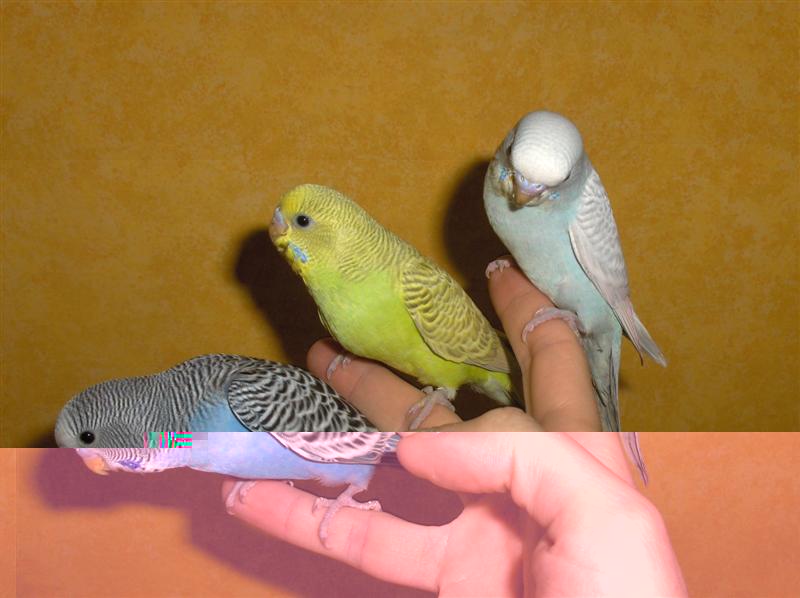 HPIM2309 (Medium).JPG