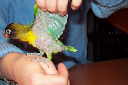 S Resize of 07-03-04-30034.jpg