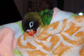 S 07-03-04-030052.jpg